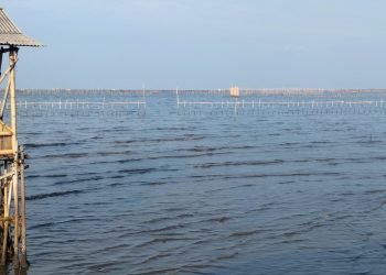 Koordinator GPPN Duga Ada Motif Bisnis dari Penyegelan Pagar Laut di Pesisir Tangerang oleh KKP