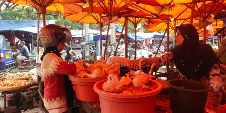 Pasca Tahun Baru, Harga Daging Ayam Tembus Rp40 Ribu Per Kilogram
