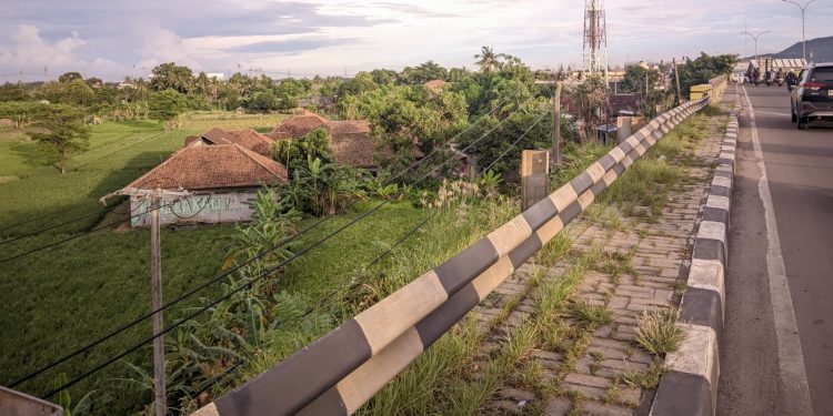 Lahan Pertanian di Kota Cilegon Menyusut, Ini Penyebabnya