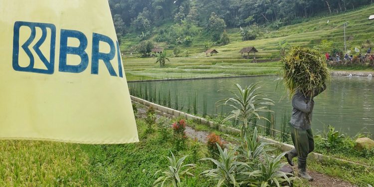 Ini 5 Komitmen Nyata BRI Dorong Peningkatan Kualitas Dan Daya Saing UMKM