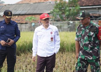 Dear Petani, Distan Banten Pastikan Pupuk Subsidi Sudah Bisa Ditebus