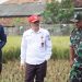Dear Petani, Distan Banten Pastikan Pupuk Subsidi Sudah Bisa Ditebus