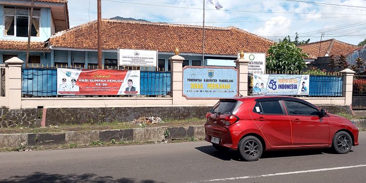 Dinas Perikanan Targetkan PAD Budi Daya Ikan Rp70 Juta