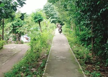 Dirjen Perkeretaapian Cek Jalur Kereta Api Rangkasbitung-Labuan