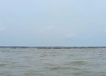 Tak Hanya di Tangerang, Pagar Laut Misterius Juga Ada di Kabupaten Serang