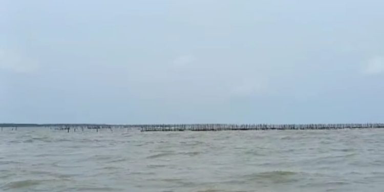 Tak Hanya di Tangerang, Pagar Laut Misterius Juga Ada di Kabupaten Serang