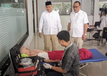 Helldy Agustian: Gerindra Tetap Kritis terhadap Pemerintahan yang Baru