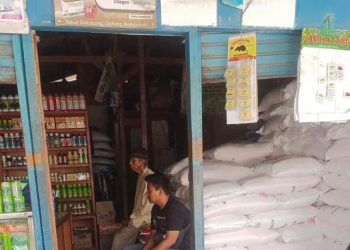 Pupuk Indonesia Siap Sanksi Kios yang Menjual Pupuk Subsidi di Atas HET