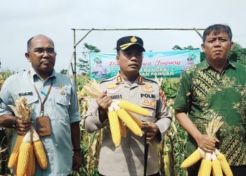 Tim Tabur Tangkap Buronan yang Potong Bansos 75 Persen