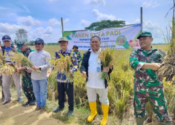 Stok Beras di Kabupaten Serang Saat Ramadan dan Idul Fitri Dipastikan Aman