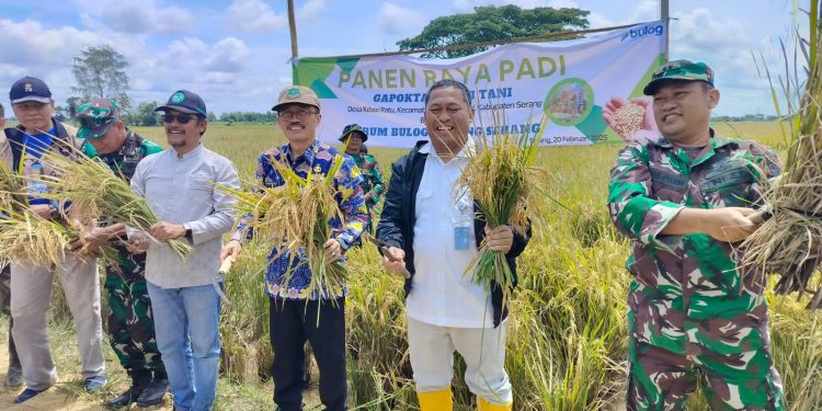 Stok Beras di Kabupaten Serang Saat Ramadan dan Idul Fitri Dipastikan Aman