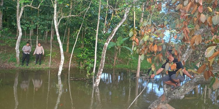 Dua Bocah Tewas Tenggelam di Bekas Galian Bata Tembong Kota Serang