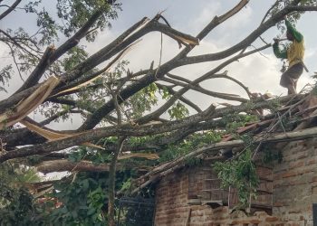 Januari 2025, BPBD Kabupaten Serang Terima 37 Laporan Kejadian Bencana