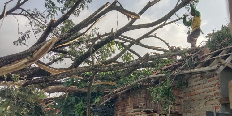 Januari 2025, BPBD Kabupaten Serang Terima 37 Laporan Kejadian Bencana
