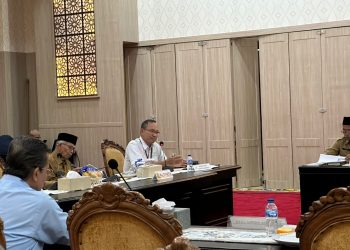 Deflasi di Januari 2025 Tercatat Luar Biasa