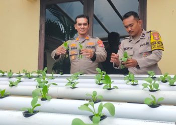 Program Ketahanan Pangan, Kapolsek Rangkasbitung Buat Hidroponik