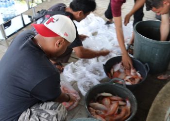 Panen 350 Kilogram Ikan Nila Merah, Kapolres Serang Bagi-bagikan ke Masyarakat Sekitar Rumah Dinas