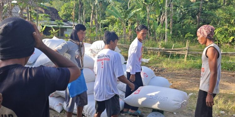 Bulog Serap Gabah dan Beras dari Petani Pandeglang dan Lebak