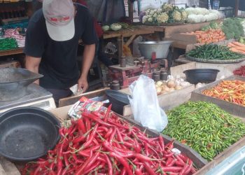 Harga Cabai Rawit di Pasar Rau Kota Serang Makin Pedas