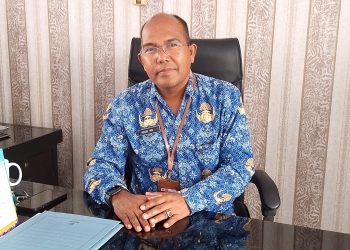 Pemkab Pandeglang Pastikan Stok Pupuk Bersubsidi Aman