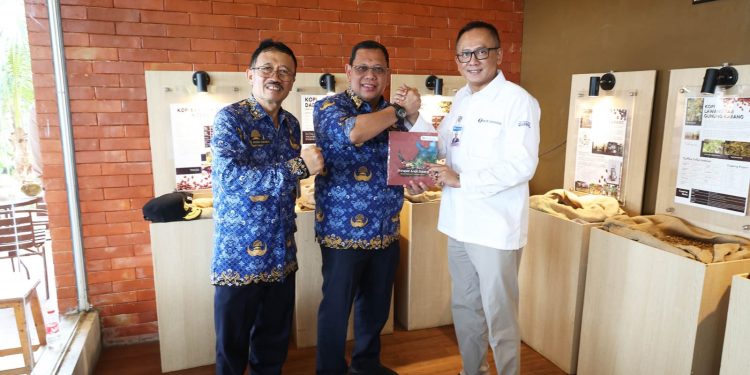 Punya Potensi, Budidaya Kopi Banten Bisa Tingkatkan Perekonomian Masyarakat