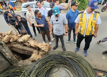 Hari Pertama Menjabat Wakil Walikota Tangsel, Pilar Kembali Putus Kabel Fiber Optik