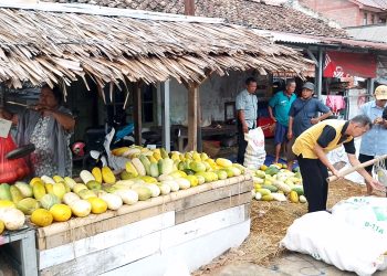 Tanda-tanda Jelang Ramadan, Pedagang Timun Suri Bermunculan di Pandeglang