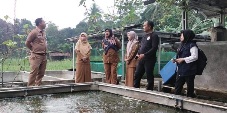 Tingkat Kebutuhan Konsumsi Ikan di Pandeglang Meningkat Selama Ramadan
