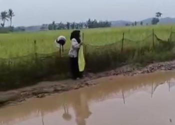 Viral, Seorang Guru di Pandeglang Menangis Usai Jatuh di Jalan Bak Kubangan ‘Lumpur’