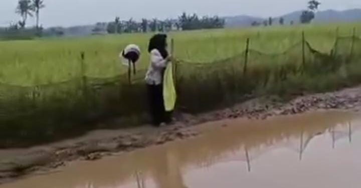 Viral, Seorang Guru di Pandeglang Menangis Usai Jatuh di Jalan Bak Kubangan ‘Lumpur’