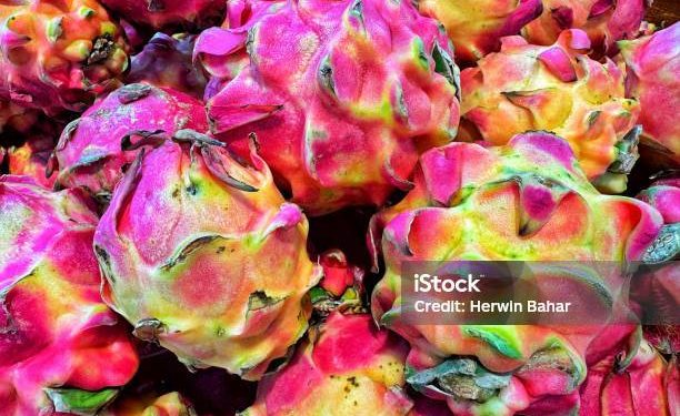 Buah Naga Kaya Manfaat, Baik untuk Kesehatan hingga Takjil Buka Puasa