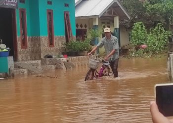Walah! Sungai Cikalumpang Meluap, 13 Desa di Padarincang Terendam