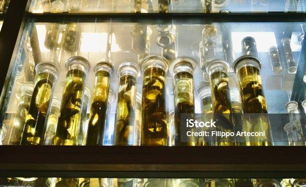 Makanan Berformalin Kembali Ditemukan, Beredar di Pasar Pandeglang