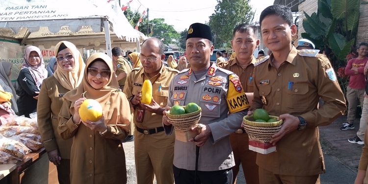 Tinjau Gerakan Pangan Murah, Bupati Pandeglang Sampaikan Hal Ini
