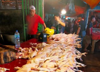 Mendekati Lebaran, Telur Ayam dan Daging Naik Drastis Rp 36 Ribu Per Kilogram