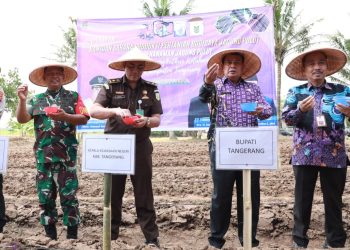 Dukung Program Ketahanan Pangan, Bupati Tangerang Tanam Jagung Pulut di Sukamulya