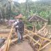 Disporapar Kabupaten Serang Segera Tinjau Kacida Cibuntu yang Rusak Akibat Banjir