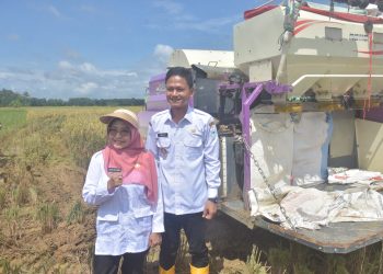 Dukung Swasembada Pangan, DPKP Pandeglang Usulkan Pembangunan Pabrik Pengolahan Gabah Modern