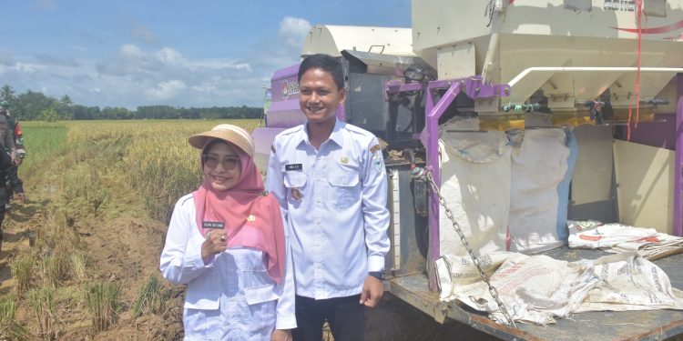 Dukung Swasembada Pangan, DPKP Pandeglang Usulkan Pembangunan Pabrik Pengolahan Gabah Modern