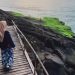 Mau Menikmati Surga Tersembunyi di Pandeglang? Kunjungi Lima Pantai Ini