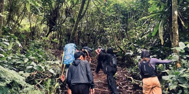 Waspadai! Pantangan dan Larangan Penting Saat Mendaki Gunung Pulosari