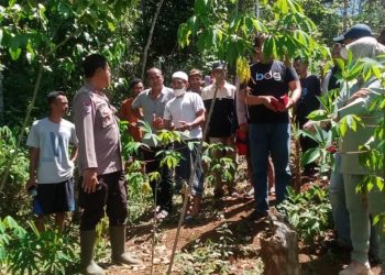 Mayat Bayi Ditemukan Dalam Plastik Hitam di Lebak, Warga Gempar