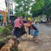 Masuk Musim Pancaroba, BPBD Lebak Sebut Pohon di Sejumlah Jalan Raya Rawan Tumbang