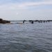 Pemprov Banten Bongkar Sisa Pagar Laut di Desa Kohod, Ditargetkan Rampung 23 April