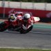 Target Rajai Asia, Ketangguhan CBR Series Jadi Andalan Astra Honda di ARRC 2025