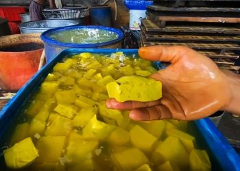 Perajin Tahu Perkecil Ukuran, Distan Lebak Ungkap Harga Kedelai Impor Naik Drastis