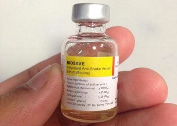 Dinkes Lebak Anggarkan 400 Serum ABU, Atasi Kasus Gigitan Ular Berbisa
