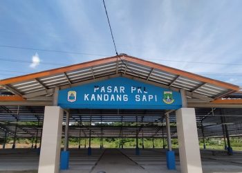 800 PKL Pasar Rangkasbitung Segera Direlokasi ke Pasar PKL Kandang Sapi