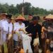 Gubernur Bersama Kapolres Serang dan Kelompok Tani Panen Jagung di Lahan Seluas 3 Hektare