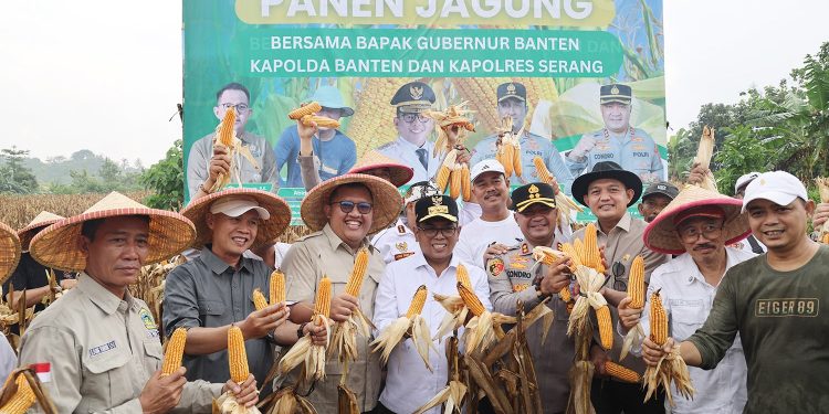 Wujudkan Swasembada Pangan, Banten Jadikan Sektor Pertanian Prioritas Pembangunan